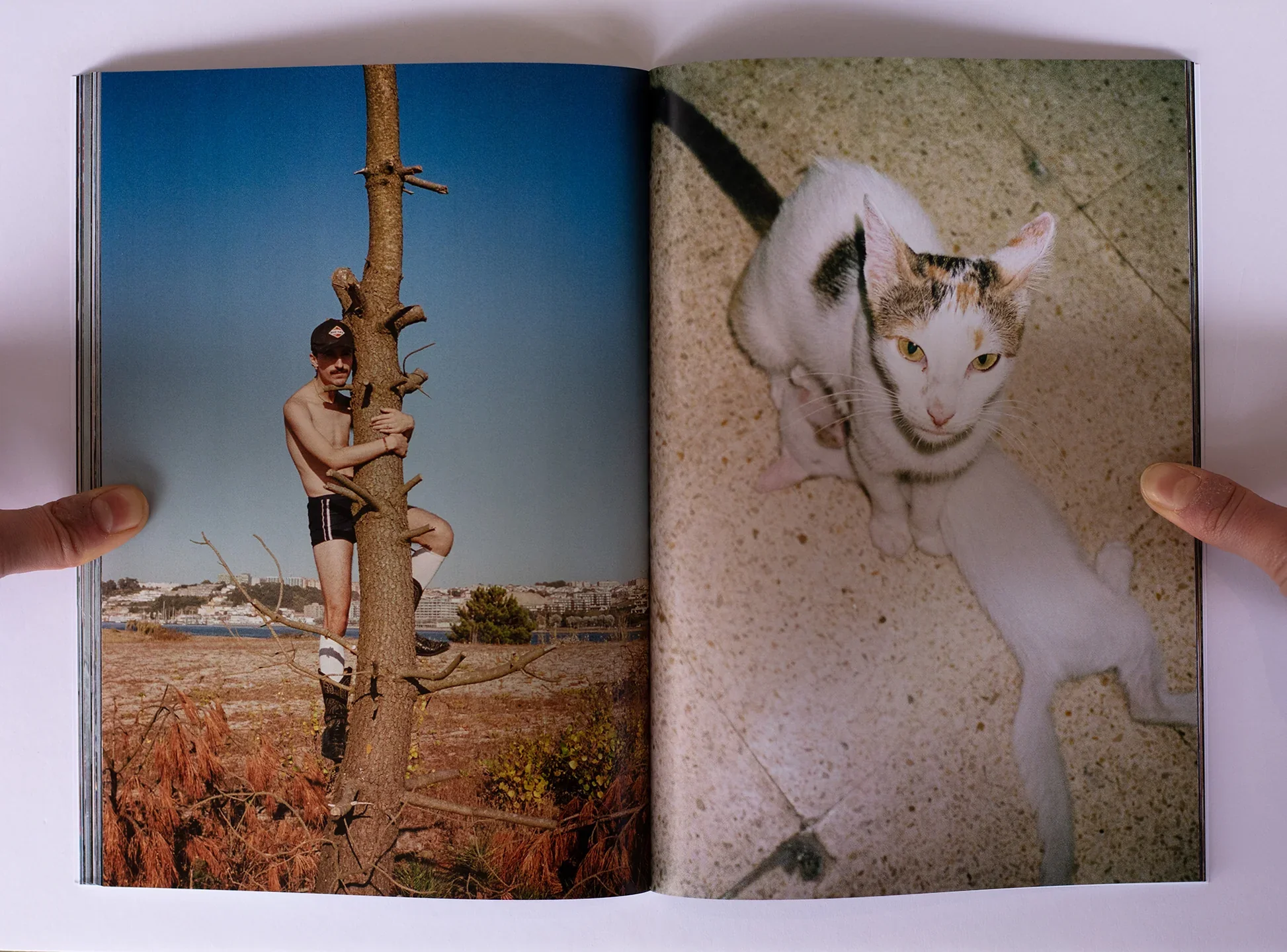 'Starring' by Jack Mannix - Image 11
