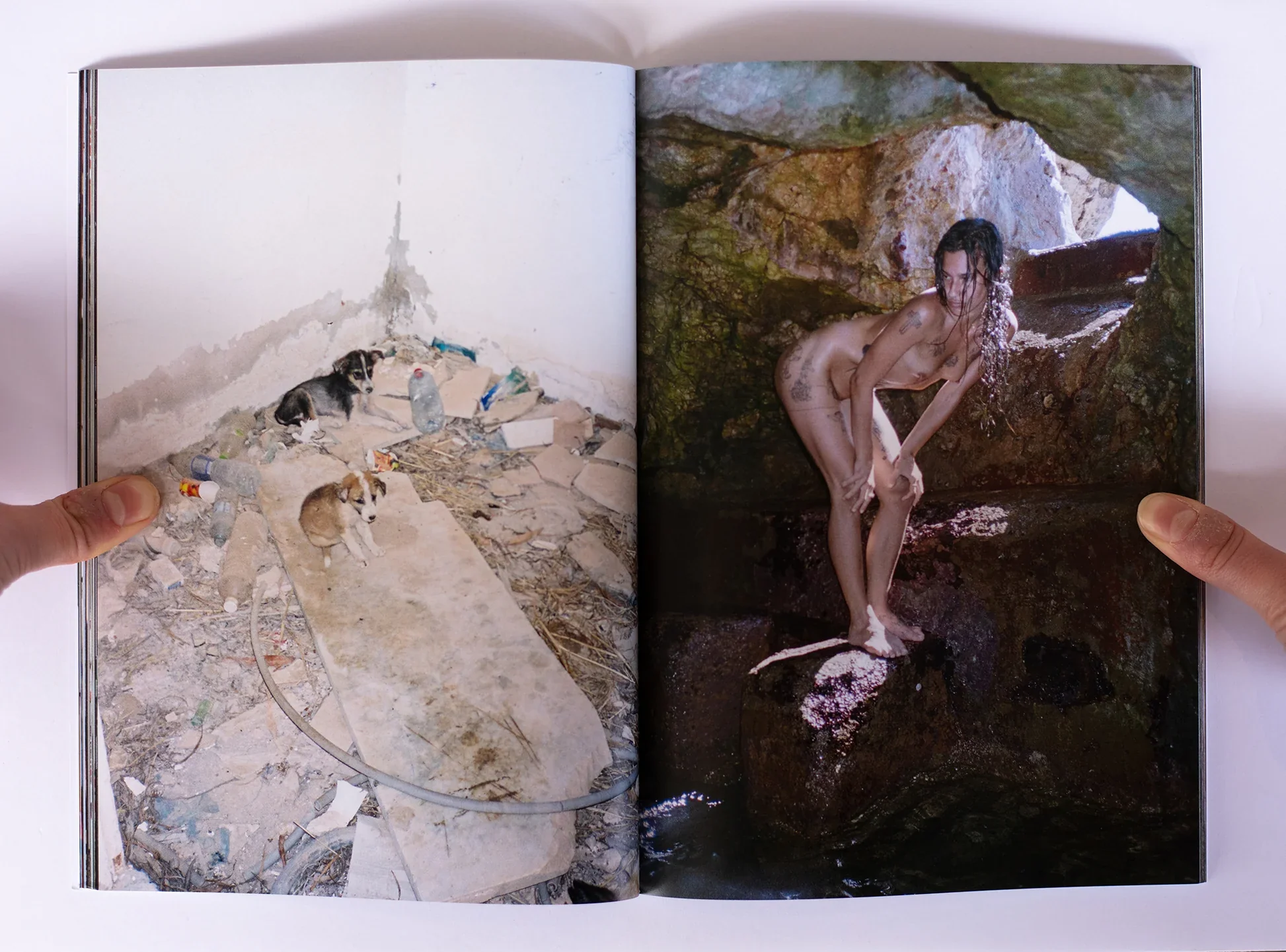 'Starring' by Jack Mannix - Image 6